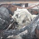 5NMJECAE7NH105109 2022 Hyundai Tucson Limited auction photo thumbnail 8