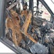 SALFT2BG9DH363615 2013 Land Rover Lr2 auction photo thumbnail 5