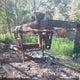 5SFSG3626AE204012 2010 Heartland Elkridge 34Rlsa auction photo thumbnail 2