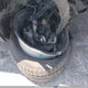 5FNYF6H00JB058623 2018 Honda Pilot Elite auction photo thumbnail 12