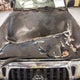 5TEHN72N23Z222551 2003 Toyota Tacoma Base V6 auction photo thumbnail 17