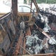 1FTDF15Y2SNA75230 1995 Ford F150 auction photo thumbnail 5