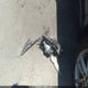 JNRAS18U99M101832 2009 Infiniti Fx35 auction photo thumbnail 12