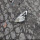 1HGCM66556A052705 2006 Honda Accord 3.0 Ex auction photo thumbnail 12