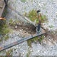 CSMFBFB2016003820 2016 Other Other auction photo thumbnail 9