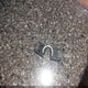 4EZFD3227E6087185 2014 Kz Venture auction photo thumbnail 11