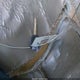 1GNEC13V94J220772 2004 Chevrolet Tahoe Ls auction photo thumbnail 11