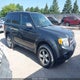 1FMCU93759KB95251 2009 Ford Escape Xlt auction photo thumbnail 1
