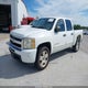 3GCRKSE31AG163480 2010 Chevrolet Silverado 1500 Lt auction photo thumbnail 2