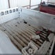 1FTYR10U21TA06089 2001 Ford Ranger Edge/Xl/Xlt auction photo thumbnail 8