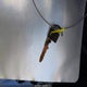 JM3KE2CY4G0827220 2016 Mazda Cx-5 Touring auction photo thumbnail 11