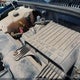1GBFG15M821216946 2002 Chevrolet Express auction photo thumbnail 13