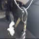 KNAFU4A2XC5562336 2012 Kia Forte Ex auction photo thumbnail 11