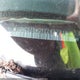 1GNCS13W0Y2262721 2000 Chevrolet Blazer Ls auction photo thumbnail 11