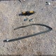 1N4BA41E56C811846 2006 Nissan Maxima 3.5 Se auction photo thumbnail 11