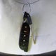 5TEVL52N42Z054326 2002 Toyota Tacoma Xtracab auction photo thumbnail 11