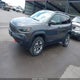 1C4PJMBN0KD207656 2019 Jeep Cherokee Trailhawk 4X4 auction photo thumbnail 2