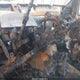1FTNW21P03EC53967 2003 Ford F-250 Lariat/Xl/Xlt auction photo thumbnail 7