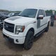 1FTFX1EF2DFA32511 2013 Ford F-150 Fx4 auction photo thumbnail 2