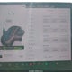 5YJ3E1EB7PF386944 2023 Tesla Model 3 Long Range Dual Motor All-Wheel Drive auction photo thumbnail 7
