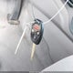19XFA1F52AE036586 2010 Honda Civic Lx auction photo thumbnail 11