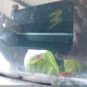 JF1GPAL68E9262342 2014 Subaru Impreza 2.0I Sport Premium auction photo thumbnail 9