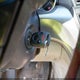 19UUA8F24AA026992 2010 Acura Tl 3.5 auction photo thumbnail 11
