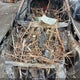 1C4PJLCB5KD457781 2019 Jeep Cherokee Latitude Fwd auction photo thumbnail 10