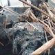 1C4PJLCB5KD457781 2019 Jeep Cherokee Latitude Fwd auction photo thumbnail 7