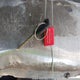 1GCEK19V73E255210 2003 Chevrolet Silverado 1500 auction photo thumbnail 11