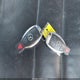 WDDKK5GF0BF092338 2011 Mercedes-Benz E 350 auction photo thumbnail 11