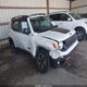 ZACNJBC14LPL76425 2020 Jeep Renegade Trailhawk 4X4 auction photo thumbnail 1