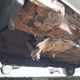 1FAHP56S74G120692 2004 Ford Taurus Sel auction photo thumbnail 6