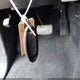 1N6ED1EK9RN615752 2024 Nissan Frontier Pro-4X 4X4 auction photo thumbnail 11