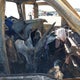 1FDSX20578EA85943 2008 Ford F-250 Xl/Xlt auction photo thumbnail 5