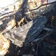 1FTFW1ET9DFC41804 2013 Ford F-150 Platinum auction photo thumbnail 12