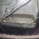 1FTCR10A5RPC44314 1994 Ford Ranger auction photo thumbnail 9