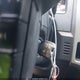 1FTFW1CF9EFA31766 2014 Ford F-150 Xlt auction photo thumbnail 11
