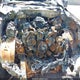 1FTPX14V28FB22941 2008 Ford F-150 Fx4/Lariat/Xl/Xlt auction photo thumbnail 10