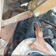 1G4HP52K8WH532063 1998 Buick Lesabre Custom auction photo thumbnail 10