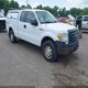 1FTEX1EW5AFD30929 2010 Ford F-150 Stx/Xl auction photo thumbnail 1