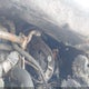 1FAFP56U66A145095 2006 Ford Taurus Sel auction photo thumbnail 10
