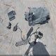5NPD84LF8JH378492 2018 Hyundai Elantra Sel auction photo thumbnail 12