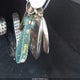 4JGFF8FE1SB323289 2025 Mercedes-Benz Gls 580 4Matic auction photo thumbnail 11