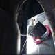 1FTRW07633KC81350 2003 Ford F-150 Lariat/Xlt auction photo thumbnail 11