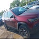 1C4PJMBX5KD421043 2019 Jeep Cherokee Trailhawk 4X4 auction photo thumbnail 12
