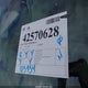 4T1BE46K77U631563 2007 Toyota Camry Xle auction photo thumbnail 18