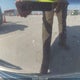 2C4RC1DG7HR705522 2017 Chrysler Pacifica Touring auction photo thumbnail 6