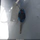 ML32A3HJ8EH006208 2014 Mitsubishi Mirage De auction photo thumbnail 11
