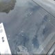 JN1EV7AP3KM514998 2019 Infiniti Q50 3.0T Luxe auction photo thumbnail 18